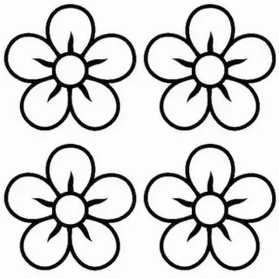 17 Bút dạ viền lại nét hoa năm cánh trên giấy trắng, làm rõ cánh, nhụy, cuống và từng đường gân lá