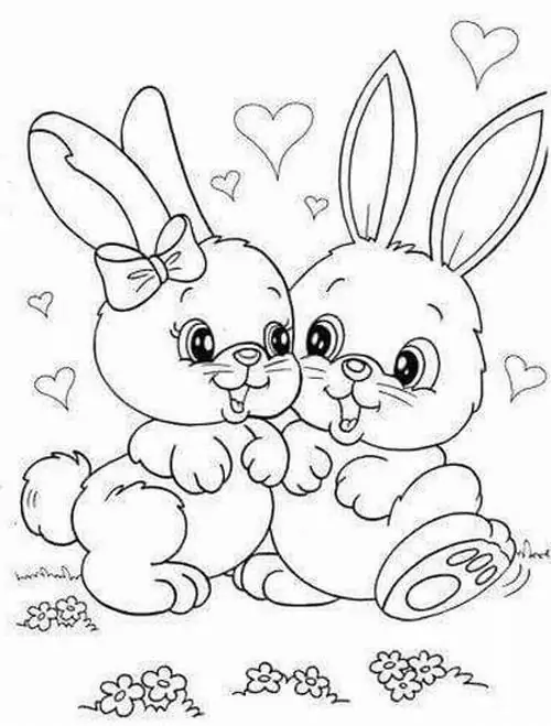 36 Chú chuột túi kangaroo mẹ đang địu chú chuột túi con trong chiếc túi nhỏ trước bụng.