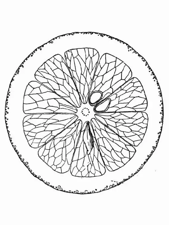 22 21