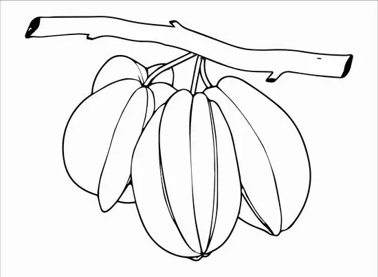 12 11