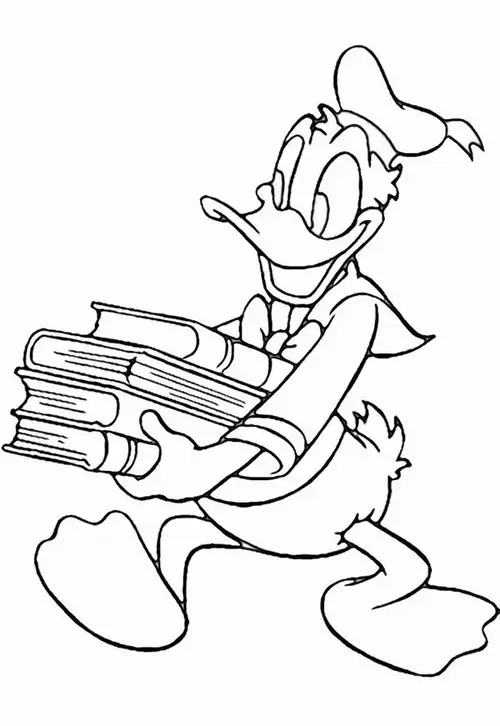 26 25