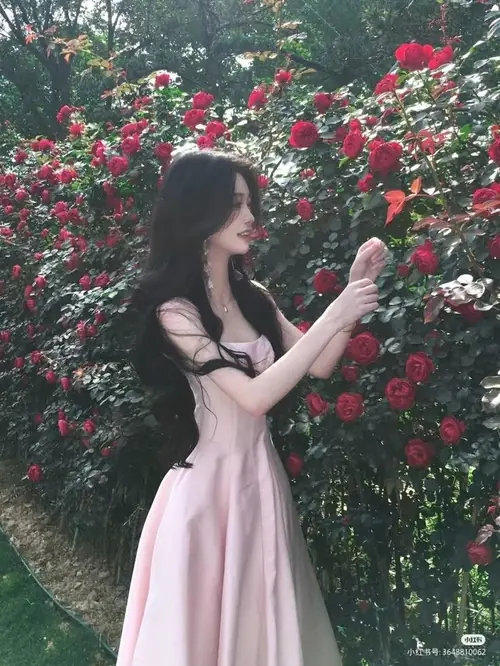 2 Giữa vườn hồng đỏ, cô gái mặc váy hồng nhạt nghiêng người ngắm hoa, tóc dài buông mềm