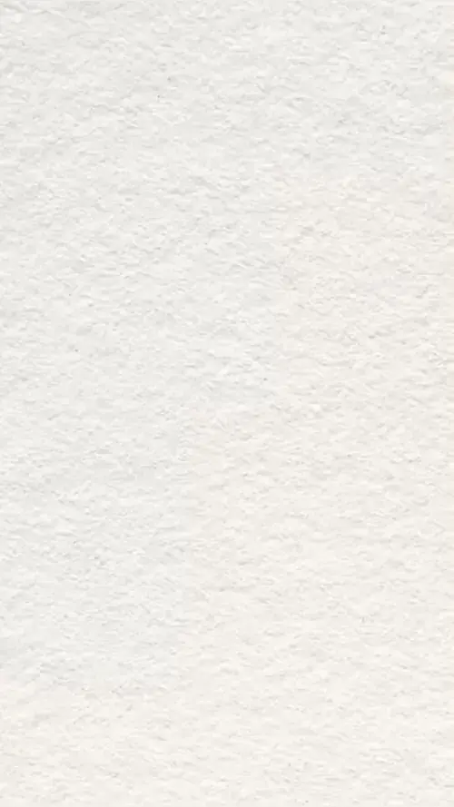 65 64