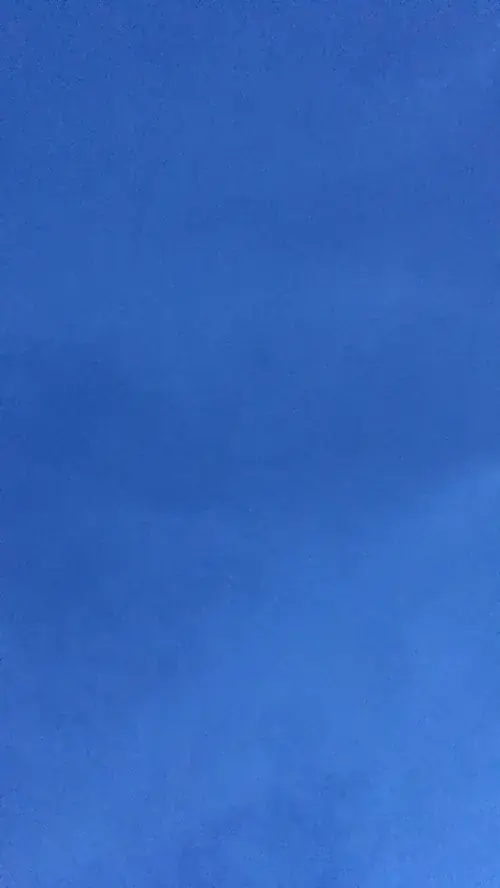 47 46