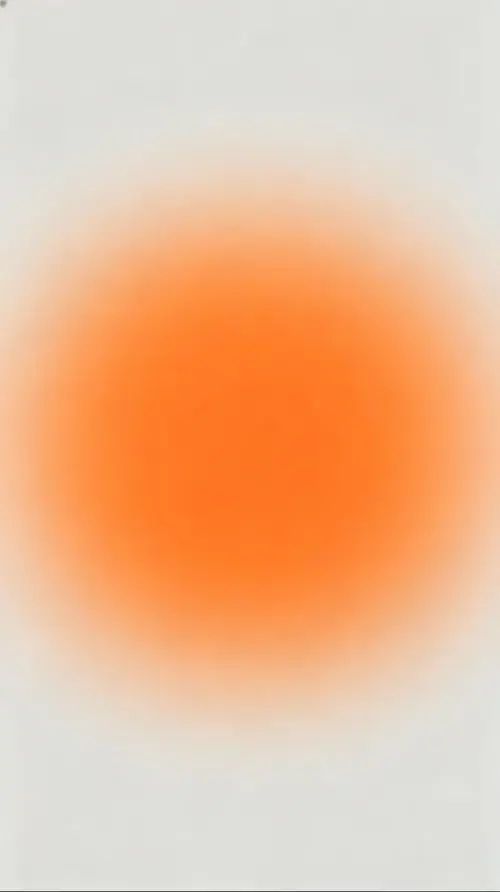 65 64