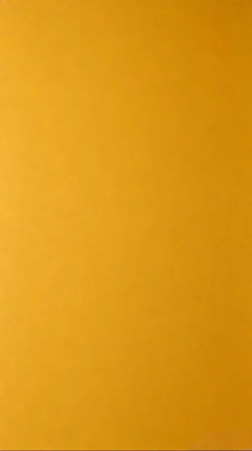 85 84