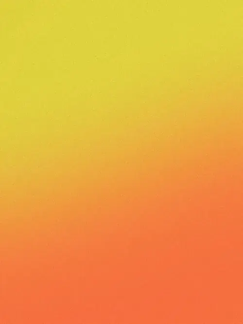 81 80