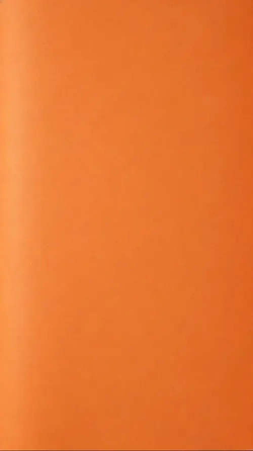 79 78