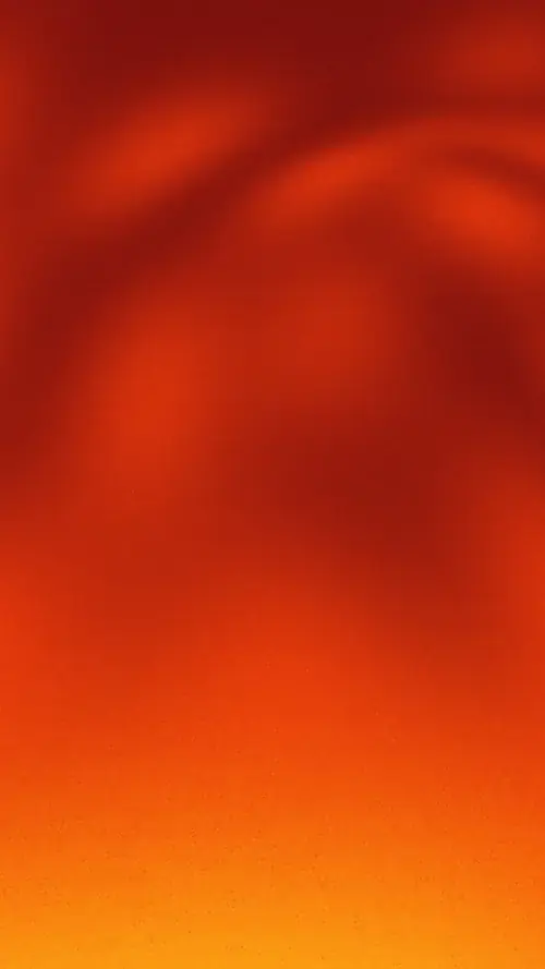 66 65