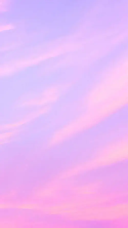 49 48