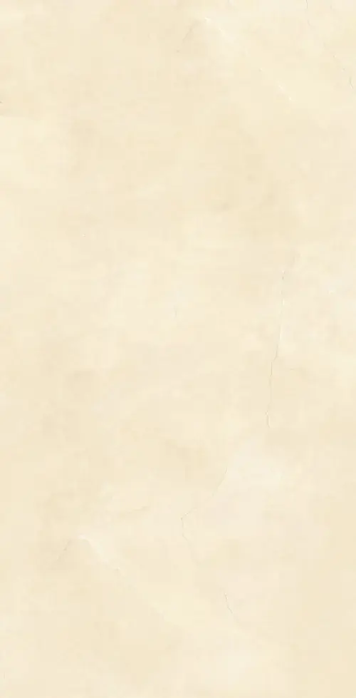 54 53