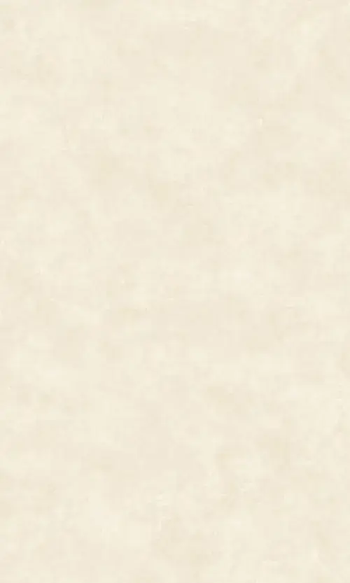 81 80