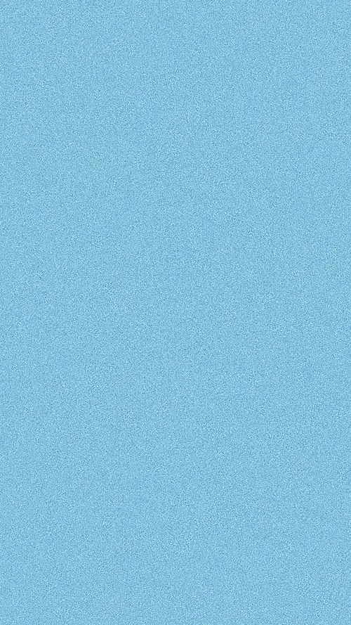 81 80