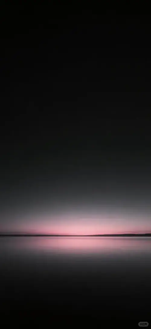 54 53