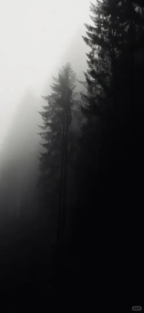 94 93