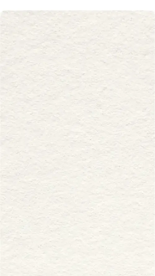 62 61