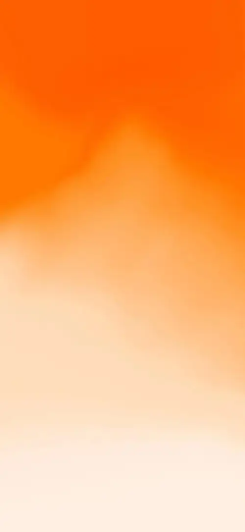 51 50