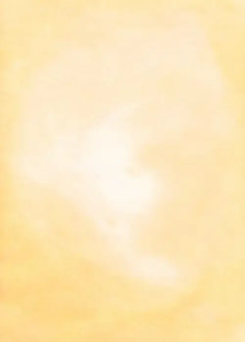 77 76
