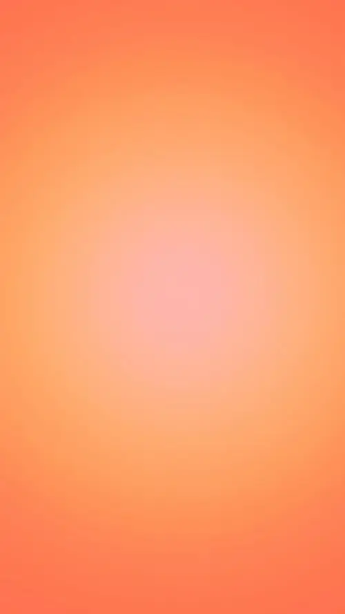 65 64
