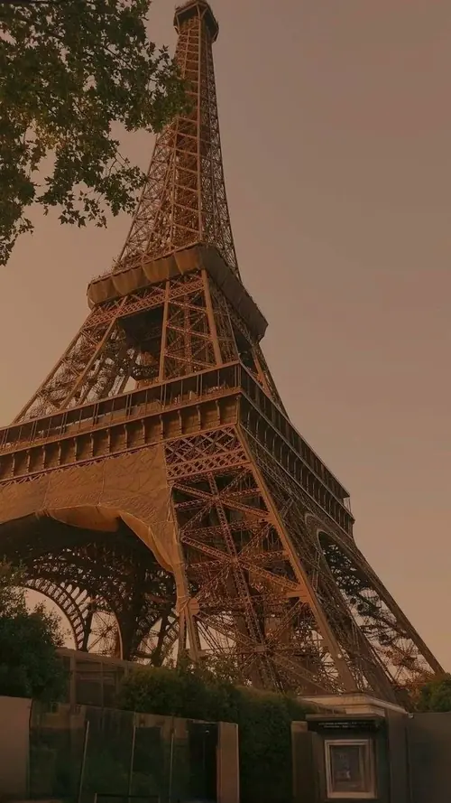 1 Tháp Eiffel hiện dưới góc nhìn thấp, phủ màu nâu ấm cùng tán cây xanh quanh khung hình.