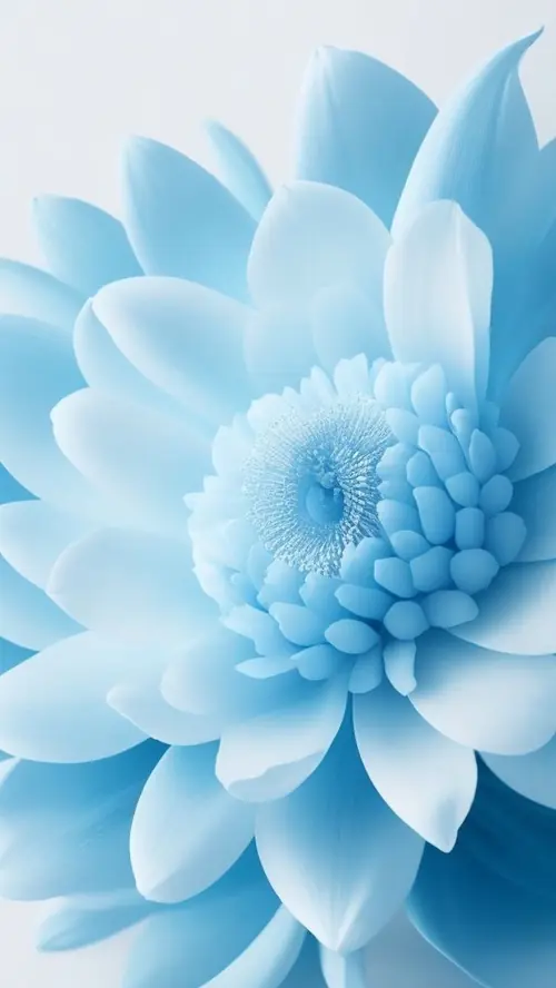55 54