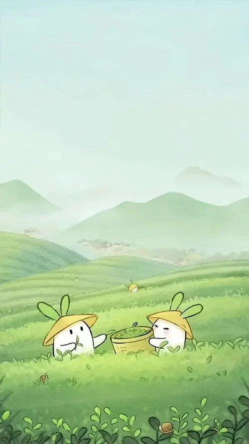 50 49