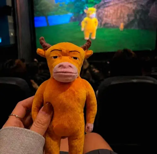 26 25