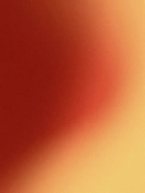 81 80