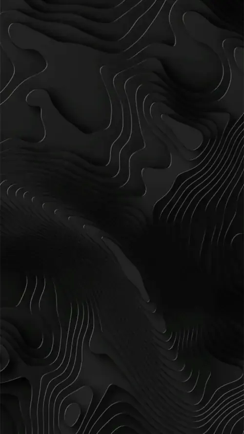 51 50