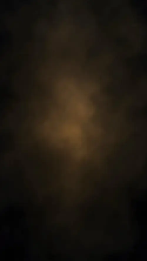 54 53