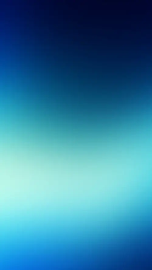 81 80