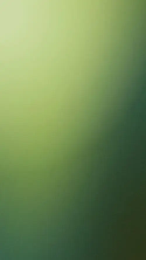 40 39