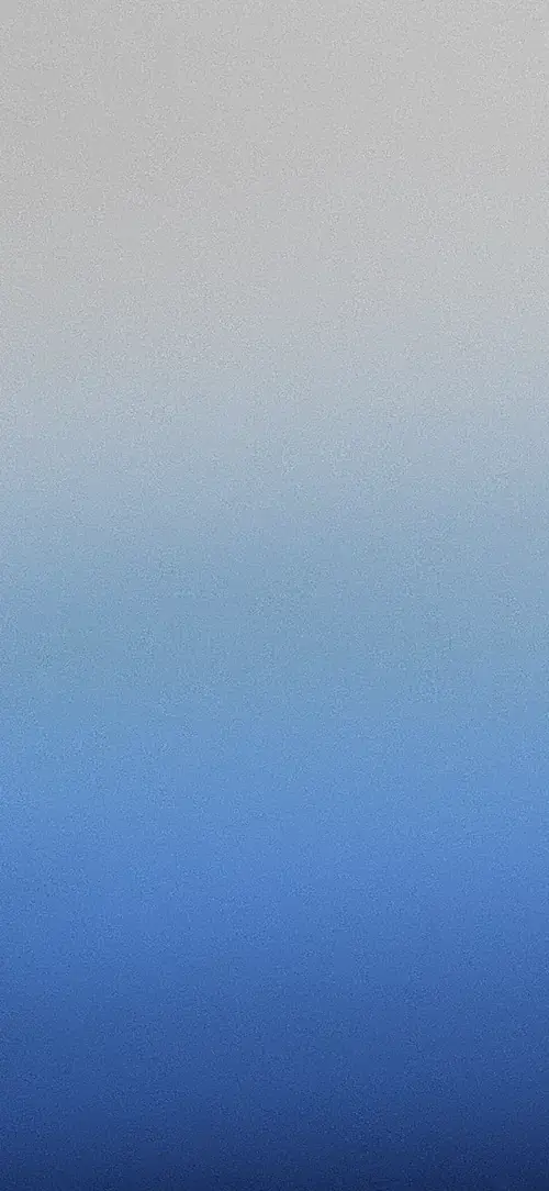 65 64