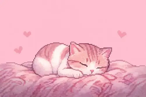 67 66