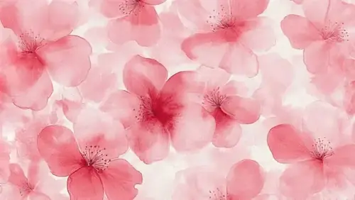 52 51