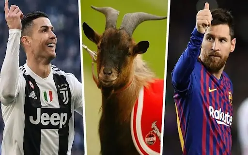 GOAT là viết tắt của cụm từ tiếng Anh “Greatest Of All Time” có nghĩa là người vĩ đại nhất mọi thời đại 